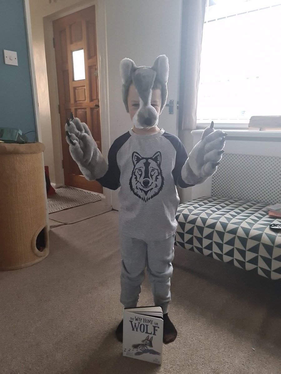 Rickyrebel tweet media