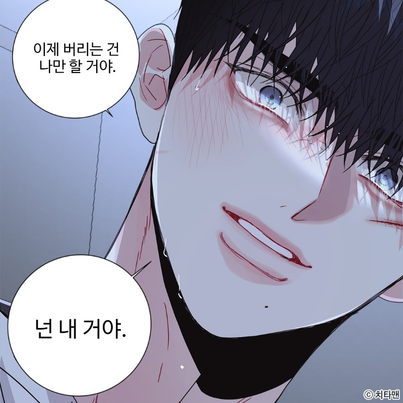벨카이브 on Twitter: 벨카이브 On Twitter: