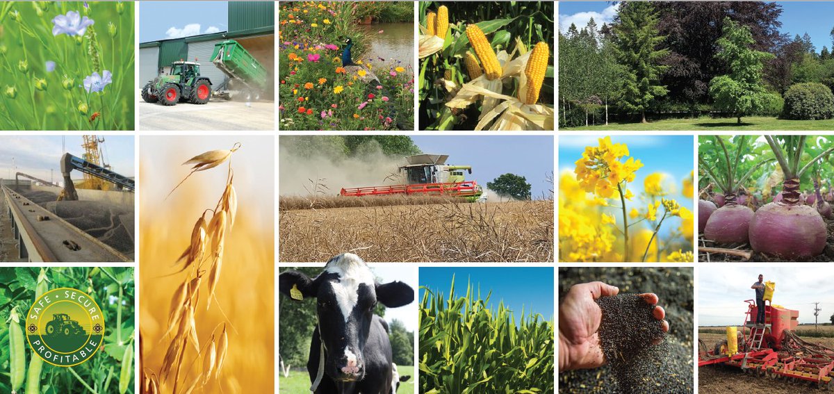 Devizes-based United Oilseeds requires a temporary assistant in its Seed Department,  during our busy harvest season mid July - end of Sept. Would suit Uni student looking for office experience. Apply: enquiries@unitedoilseeds.co.uk
<a href="/BeckiiGibbs/">Beckii Gibbs</a> <a href="/jogunes1/">@JoGunes</a> <a href="/owencuos/">Owen Cligg</a> @scouseman1978
