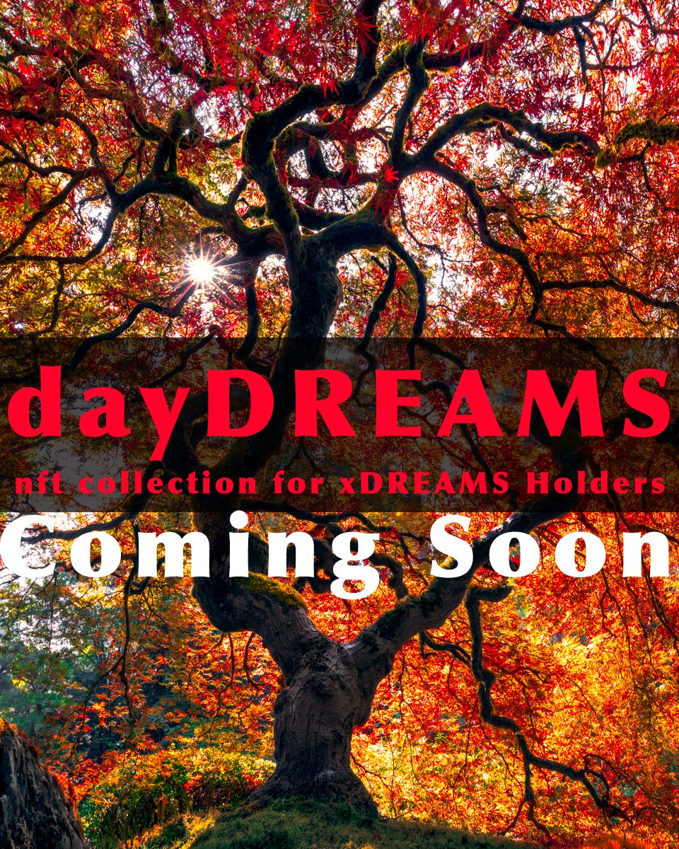 xDREAMS_NFT's tweet photo. 🎨🏔️dayDREAMS🏔️🎨

@dayDREAMS_XRPL

A NFT collection of Majestic Landscapes, Thought Provoking Abstract, Mesmerizing Cityscape &amp; MUCH MORE

Brought to you by the creators of xDREAMS

Wake from your Dreams into the light of day … dayDREAMS

HOW
Redeem your $WAKEx 🤯

COMING SOON https://t.co/XuX30pR3uV