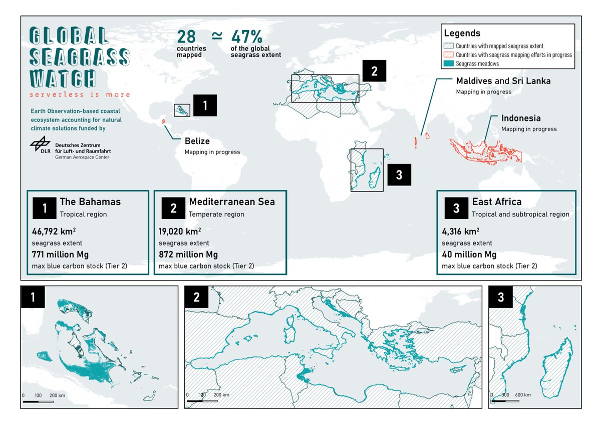 Happy World Seagrass Day! Find out what we're doing in the Global Seagrass Watch project to ensure the triptych of Healthy seagrass, Mapped seagrass, Healthy planet. Find more about the day: rb.gy/gitpmy and about our project&amp;research efforts: shorturl.at/kOVX7.