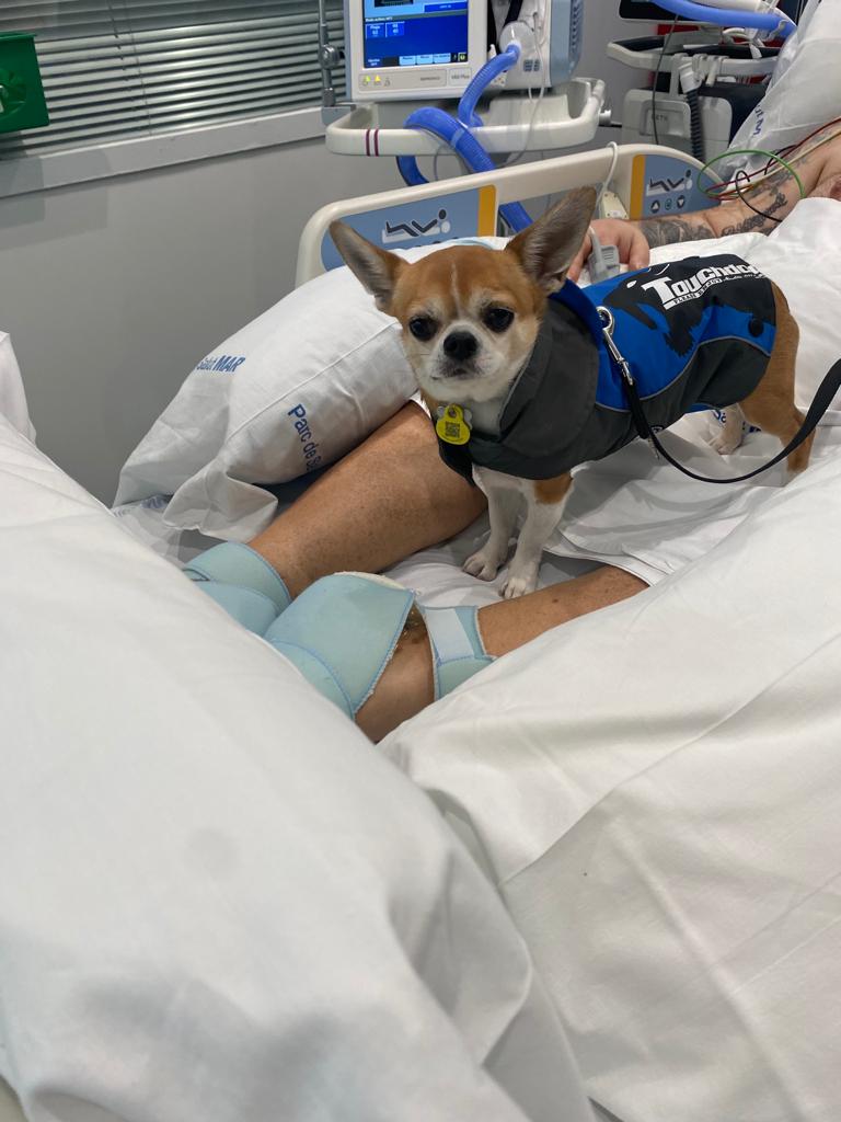 Avui, en David, un pacient ingressat a <a href="/mar_uci/">UCIMar</a> des del 18 de febrer, ha rebut una visita molt especial

La seva mascota, en Daquer 🐶 ha pogut entrar a l'#UCI per veure'l

Un pas més cap a la #humanització de les cures

#HumanitzacióMAR @jrmasclans @Desireeruizs