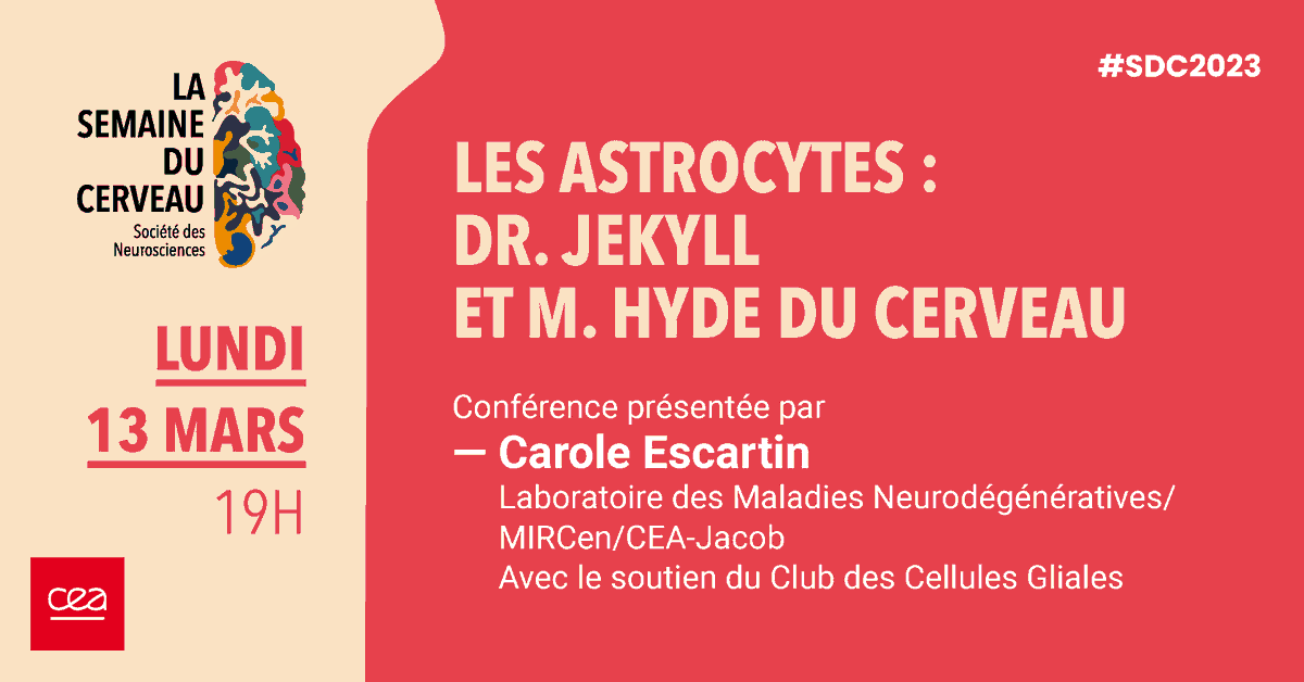[📢🗓️ #SDC2023] [...]🧵2/5 | La première conférence aura lieu le lundi 13 mars à 19h avec C. Escartin du @lmn_far #MIRCen  | 
🧠"Les astrocytes : Dr. Jekyll et M. Hyde du cerveau" 🧠  |
 ℹ️ Pour vous inscrire : app.livestorm.co/fontenay-aux-r… [...]
