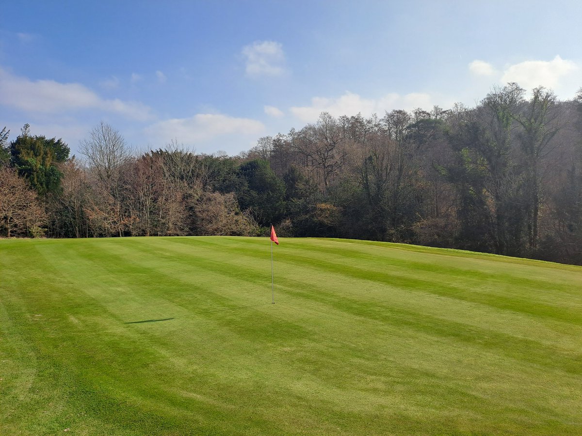 Day 4 of maintenance, solid tine and heavy dressing, brush and roll this afternoon 👌