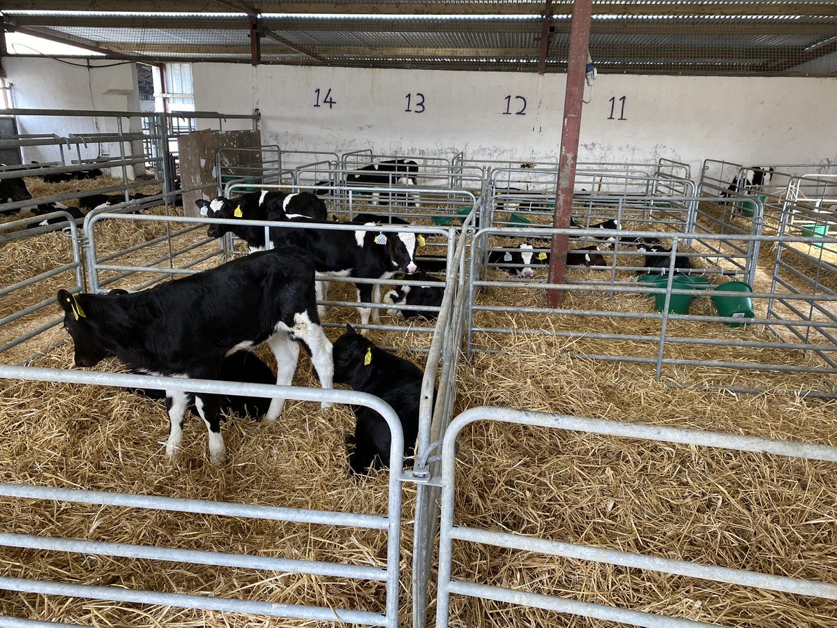 Out today at the Agri Aware #FarmWalkandTalk2023 at <a href="/MountbellewAgri/">Mountbellew Agricultural College 🐂🐄🐏🚜🌲</a>. Learning all things dairy currently. <a href="/AgriAware/">Agri Aware</a>