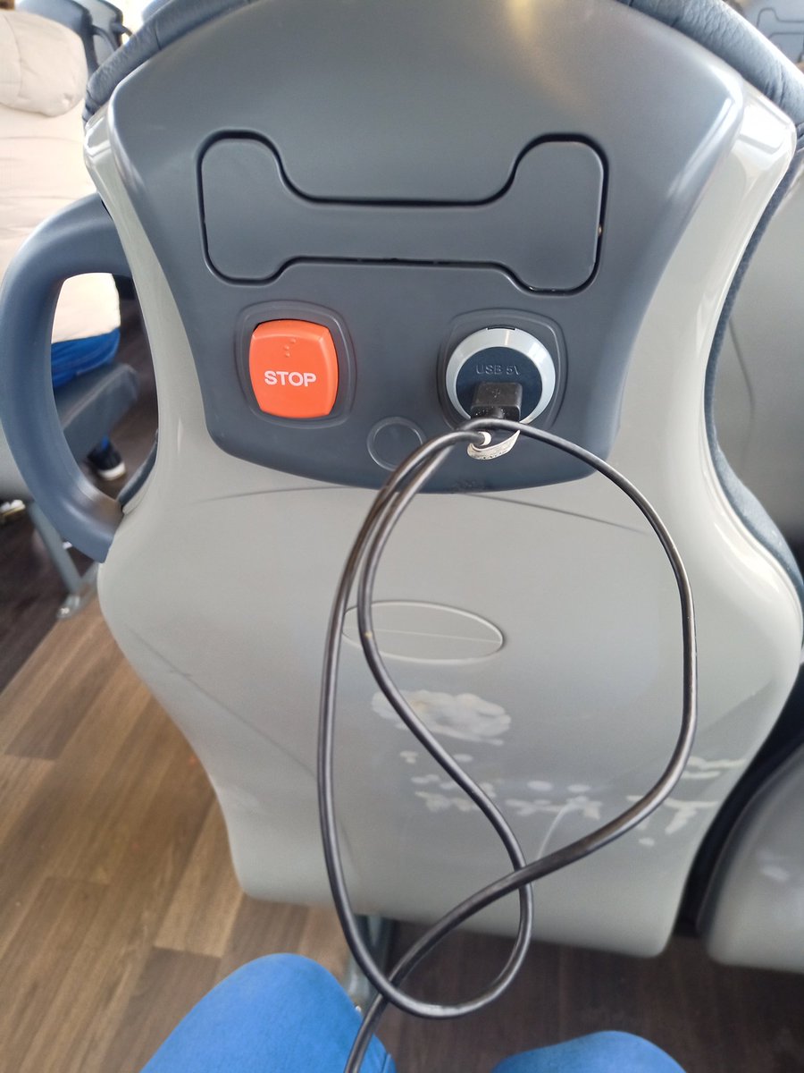 MrsCollieG tweet media