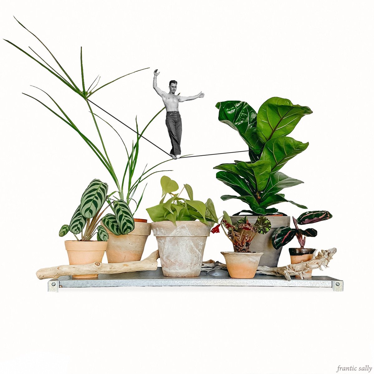 Frantic Sally (@franticsally) on Twitter photo Fun fact. Houseplants boost productivity and can help balance out your mood. 🌱
#funfacts #themoreyouknow #irishartist #sligo Fun fact. Houseplants boost productivity and can help balance out your mood. 🌱
#funfacts #themoreyouknow #irishartist #sligo