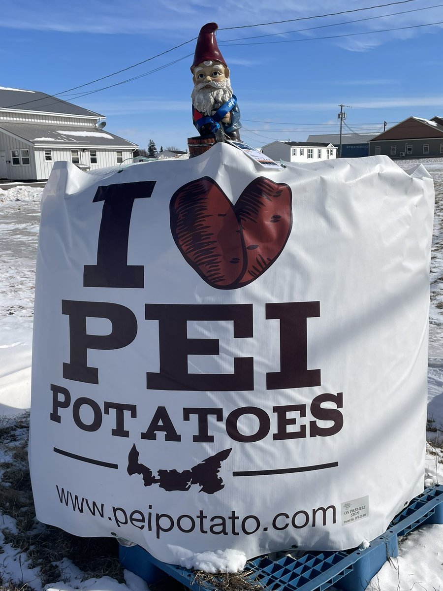 MR. POTATO HEAD: Nothing like a little #PEI spuds 🥔 in @team_equipenb diet at @2023CanadaGames @canadagames #SportNB #TeamEquipeNB #PEI #CanadaGames #lifeofagnome