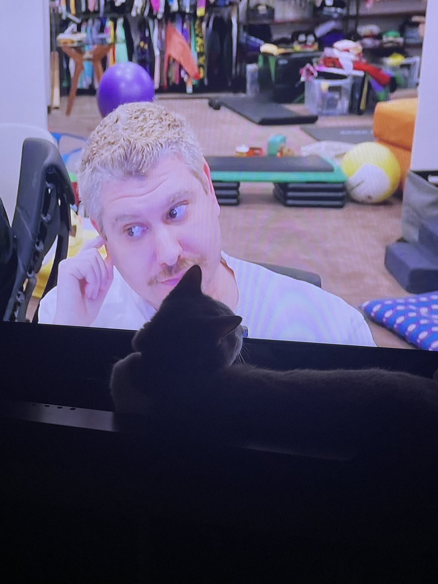 CalliHoostal's tweet photo. Cats4Klein @h3h3productions @theh3podcast https://t.co/YvWMBdVb4Z