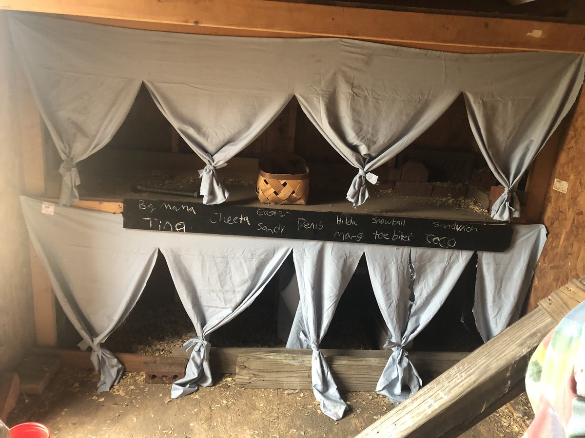 It’s not much but it’s a simple life. #farmer #chicken #livestock #SellingContent #buyingccontent #onlyfan