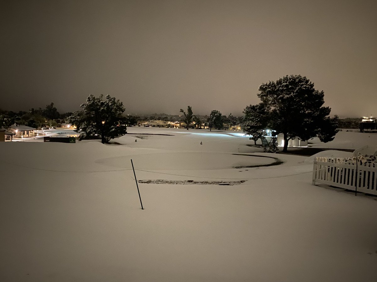 Stewart Williams tweet media