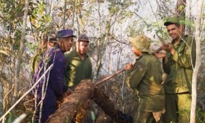 Avanzan acciones de contención del gran incendio forestal en el oriente cubano. Se trabaja intensamente para lograr su extinción, en díficiles condiciones del terreno, prolongada sequía y fuertes vientos. #Cuba