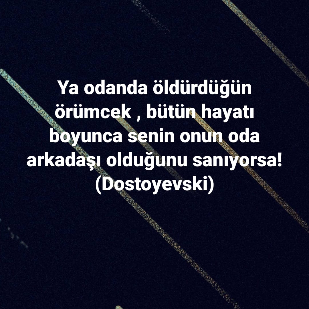 Önder Hıdır (@nderhdr1) on Twitter photo 