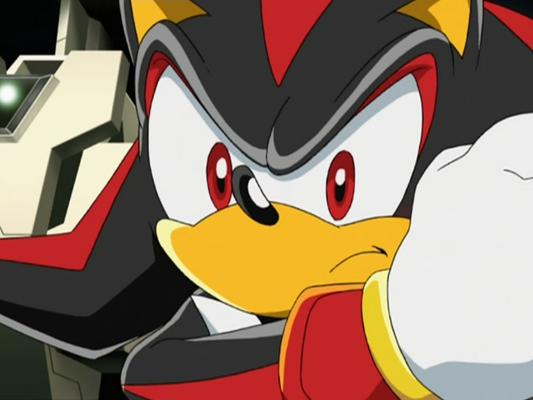 G.U.N. or someone else should've send Shadow the Ultimate Lifeform and/or (possibly) Sticks the Badger to another planet for some reason (from Sonic the Hedgehog series)

Similar to Illuminati Avengers (from Marvel animated movie 