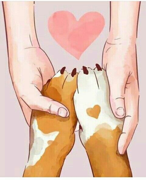 Pure love🐾💕

#iflynfeast #doglover #love #thursday #life #thursdaymood