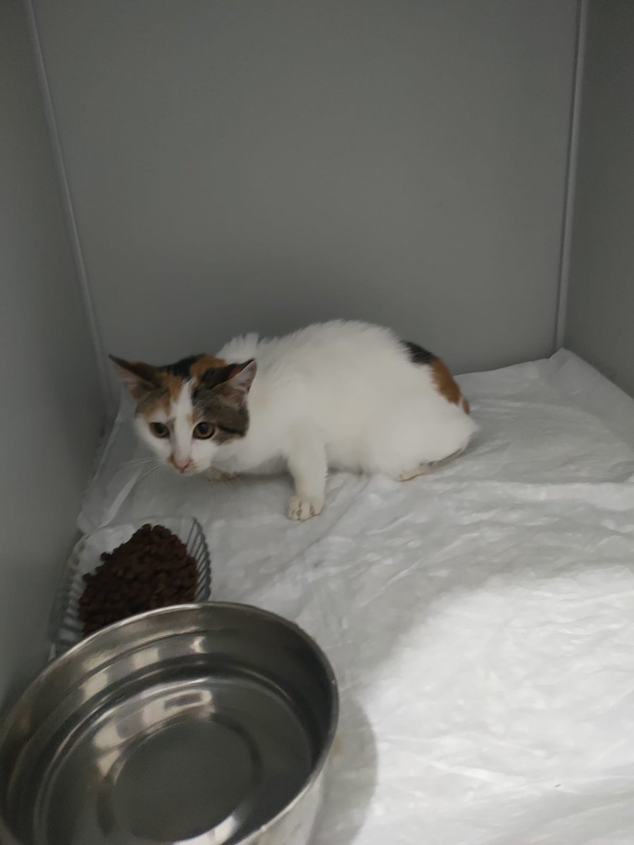 Hiç mi yuva yok bu depremzede çocuklara?