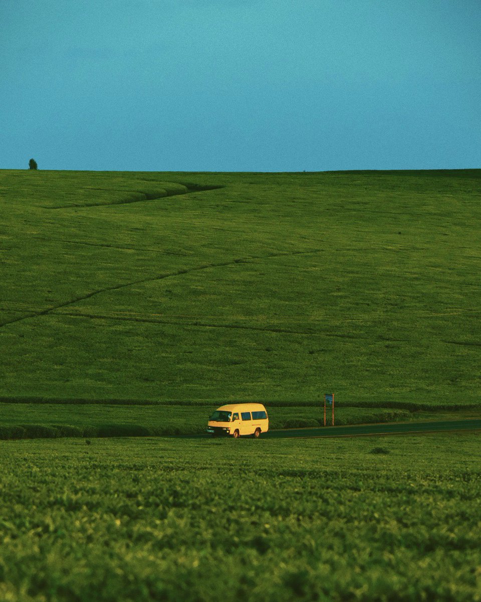 Few photographers have been lucky to be holding their camera at the right time. I am one of them😊 

A thread of some of the mosr timely photos I have taken

#1 Karirana, Limuru - A yellow van against the lush green tea farms on clear evening blue sky☀️