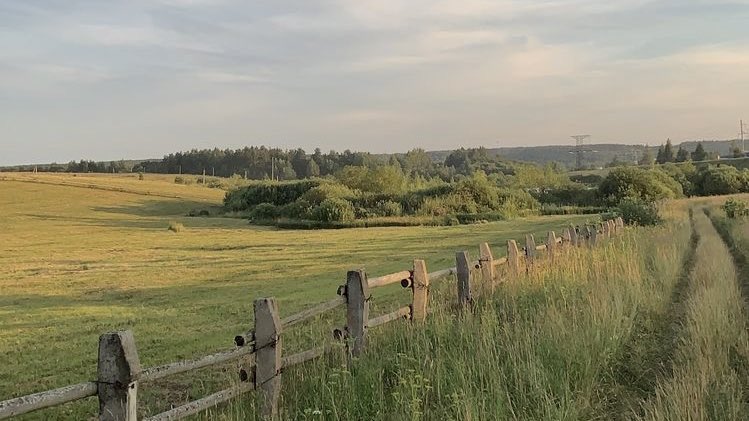 malusokay's tweet image. Spring in the countryside 💭🌾