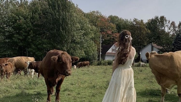 malusokay's tweet image. Spring in the countryside 💭🌾