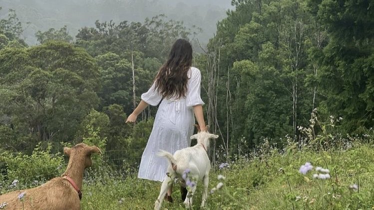 malusokay's tweet image. Spring in the countryside 💭🌾