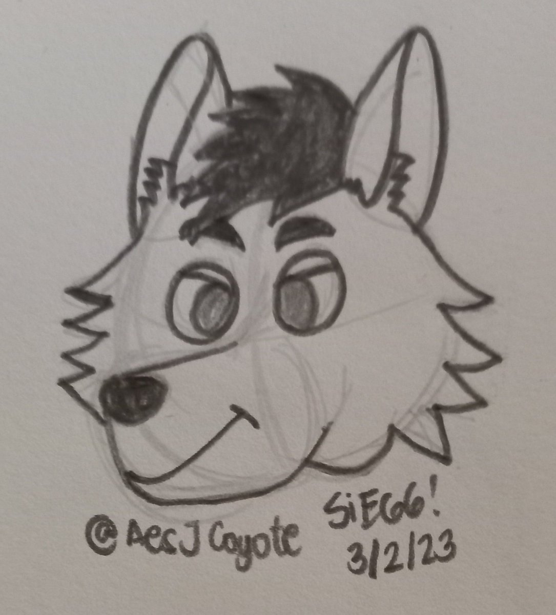 SieggWolfbun's tweet photo. Did a thing @AesJCoyote... I hope you like it! #furryart #beginnersart https://t.co/s2aT1kVHEU