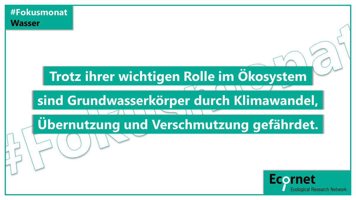 #Grundwasser ist die wichtigste Trinkwasserquelle weltweit und zeichnet sich durch eine einzigartige #Biodiversität aus. Das <a href="/isoewikom/">ISOE</a>-Projekt regulate untersucht, auf welche Art und Weise Grundwasserkörper in Europa beeinträchtigt werden. isoe.de/forschung/nach… #Fokusmonat
