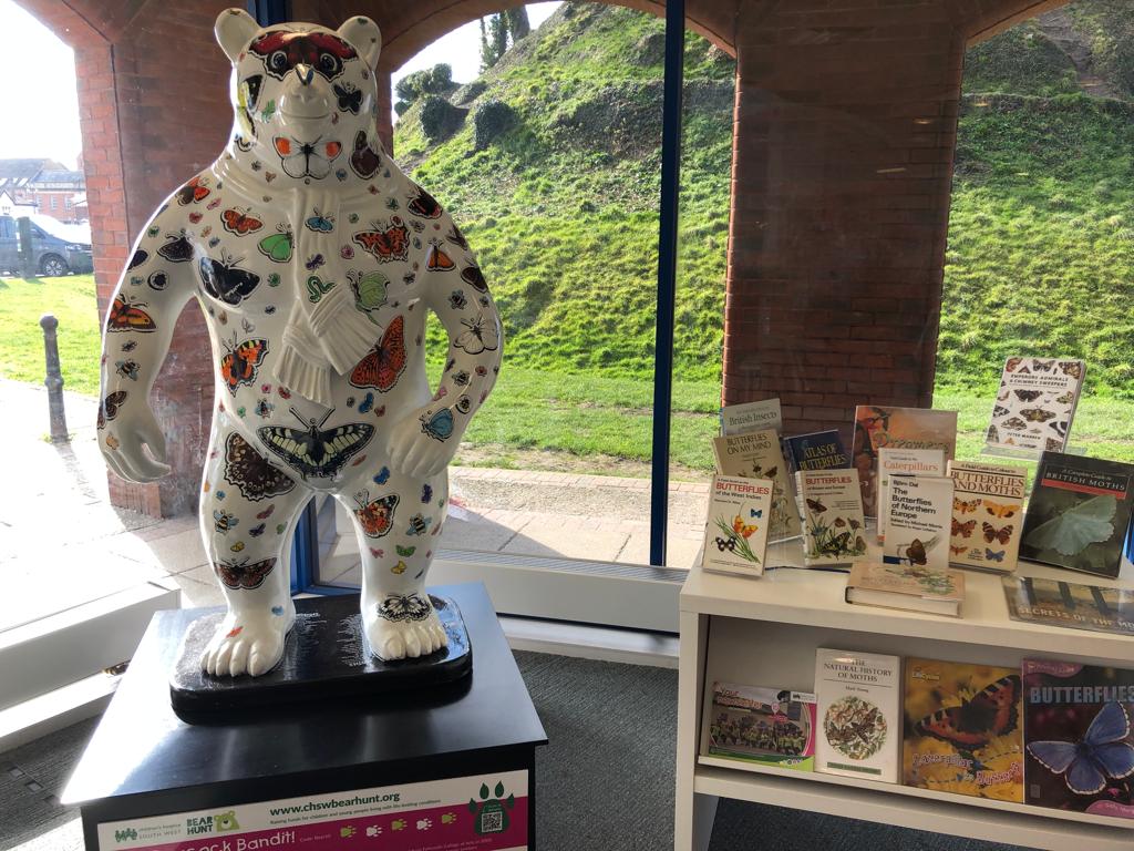 chswbearhunt's tweet image. Peacock Bandit by @bernoid  hosted by @BarnstapleLibr  - they have a charming display with books about butterflies and moths 🐻🦋 

Make a day of it and learn more about all the amazing butterflies and moths while visiting their CHSW Bear
#chswbearhunt #chswbearsthatcare #chsw