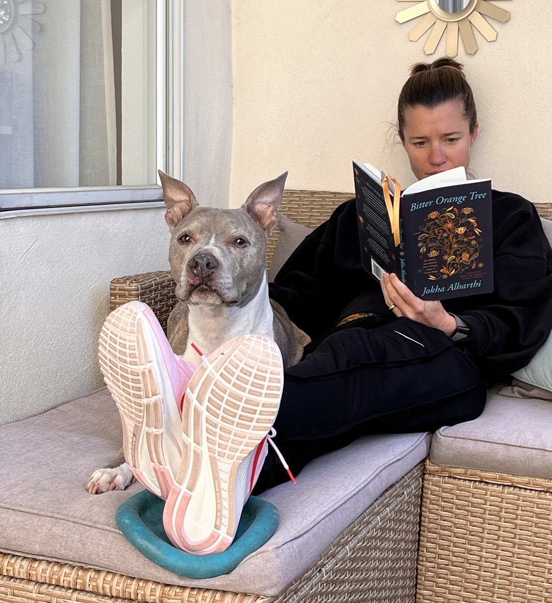 It’s #WorldBookDay2023. 📚