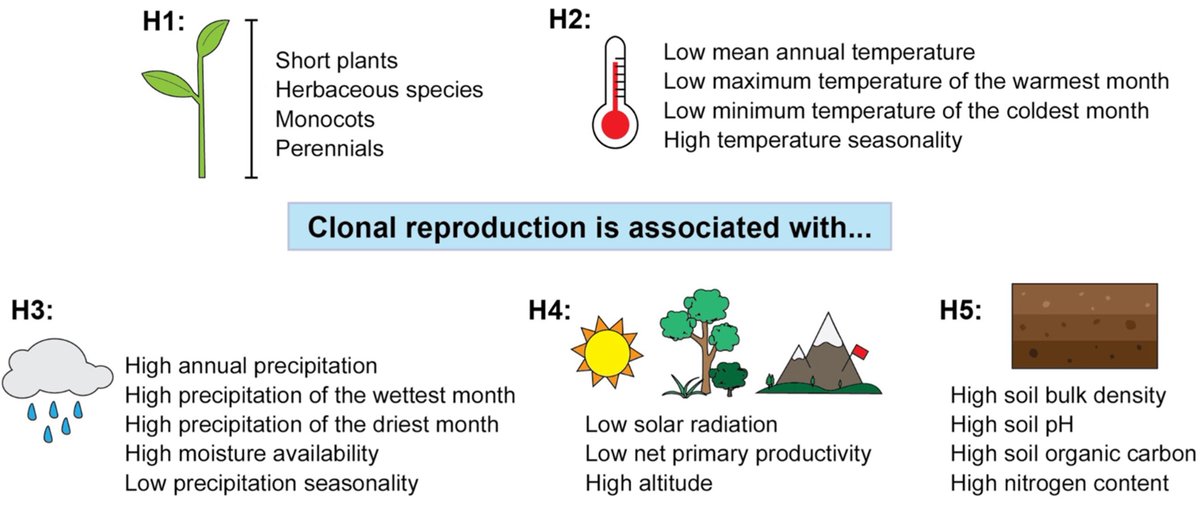 JBiogeography's tweet photo. Plant clonal reproduction is shaped by plant characteristics more than environmental factors.

https://t.co/S8rY1rAQgG

#Biogeography #Evolution https://t.co/x9h7f78mae