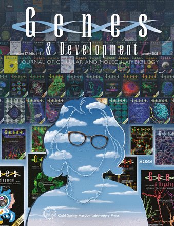 Genes & Development (@genesdev) on Twitter photo NEW ISSUE ALERT!!!
Check out the new issue of Genes & Development <a href="/GenesDev/">Genes & Development</a>, in appreciation of Terri Grodzicker. Read more about her contributions to science communication and publishing here:
➡️genesdev.cshlp.org/content/current NEW ISSUE ALERT!!!
Check out the new issue of Genes & Development <a href="/GenesDev/">Genes & Development</a>, in appreciation of Terri Grodzicker. Read more about her contributions to science communication and publishing here:
➡️genesdev.cshlp.org/content/current