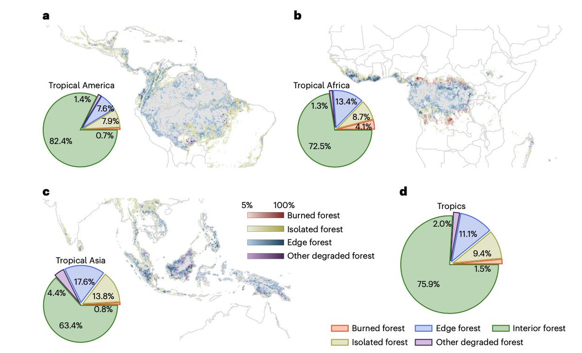 🍃 🌳 Tropical forest degradation accelerates climate warming <a href="/esaclimate/">ESA Climate Office</a> <a href="/CEA_Officiel/">CEA</a> <a href="/TTTWL/">Wei LI</a>

nature.com/articles/s4156…

In our new publication, satellite data of forest #carbon and surface temperature, show that biophysical local warming adds to global warming from CO2 losses 🧶
