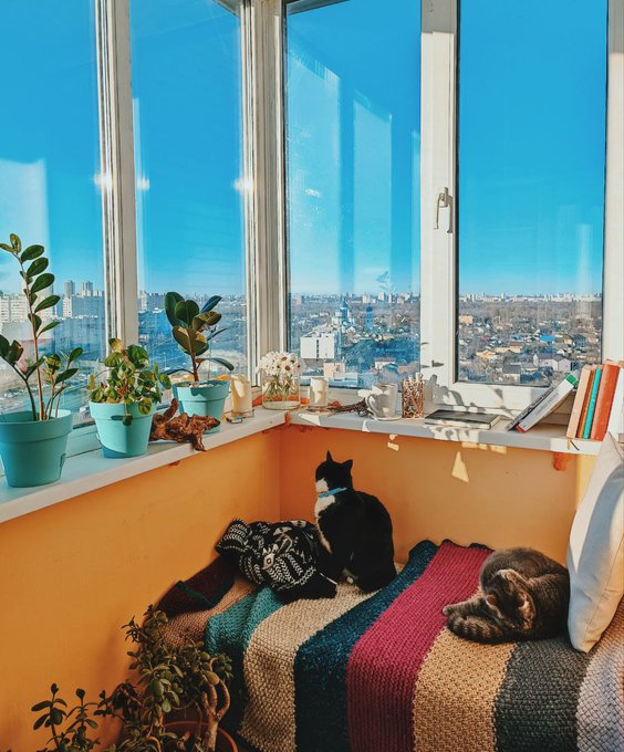 #my #cozy #place https://t.co/uULceHM7Oc<a href="/tag/my"class="tags">#my</a><a href="/tag/cozy"class="tags">#cozy</a><a href="/tag/place"class="tags">#place</a>