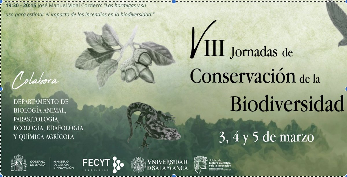 Charla de <a href="/jmvidalcordero/">J. Manuel Vidal-Cordero (Mirmeco_Cosas)</a> de <a href="/ebdonana/">Estación Biológica de Doñana - CSIC</a>: “Las hormigas y su uso para estimar el impacto de los incendios en la biodiversidad” (proyectos <a href="/CILIFO_UE/">CILIFO</a> + <a href="/firepoctep/">Proyecto FIREPOCTEP+</a>)-  VIII Jornadas de Conservación de la Biodiversidad  organizadas por Colectivo Bellotero de Salamanca <a href="/CBellotero/">Colectivo Bellotero</a>