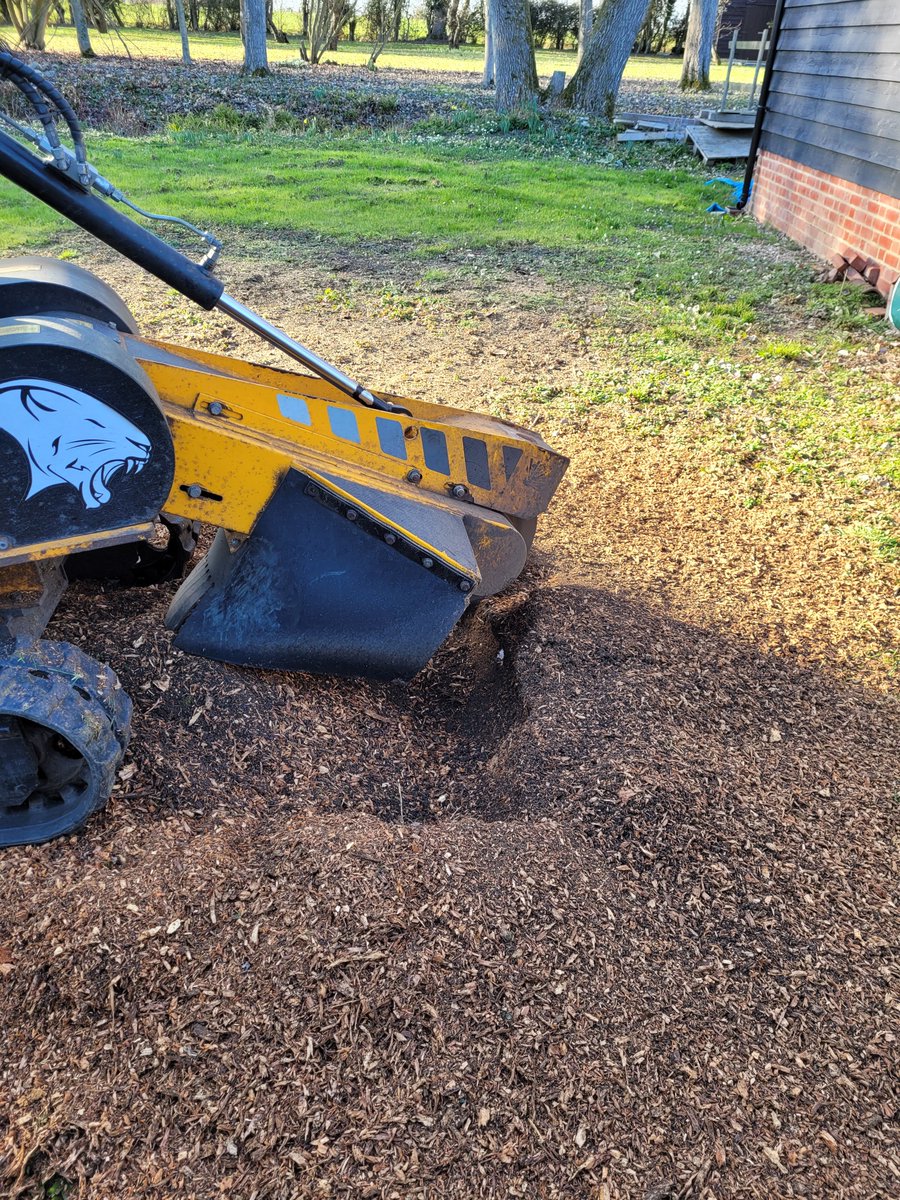 TreeGrinding tweet picture