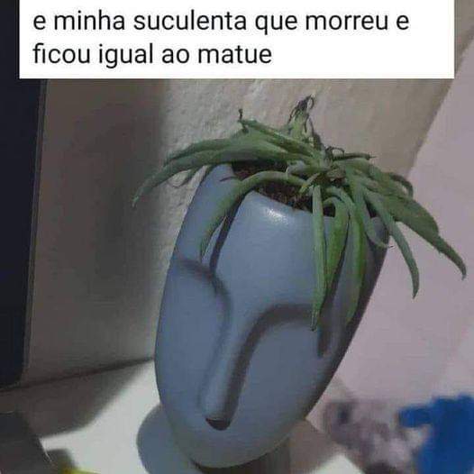 shitpostverdade's tweet image. 