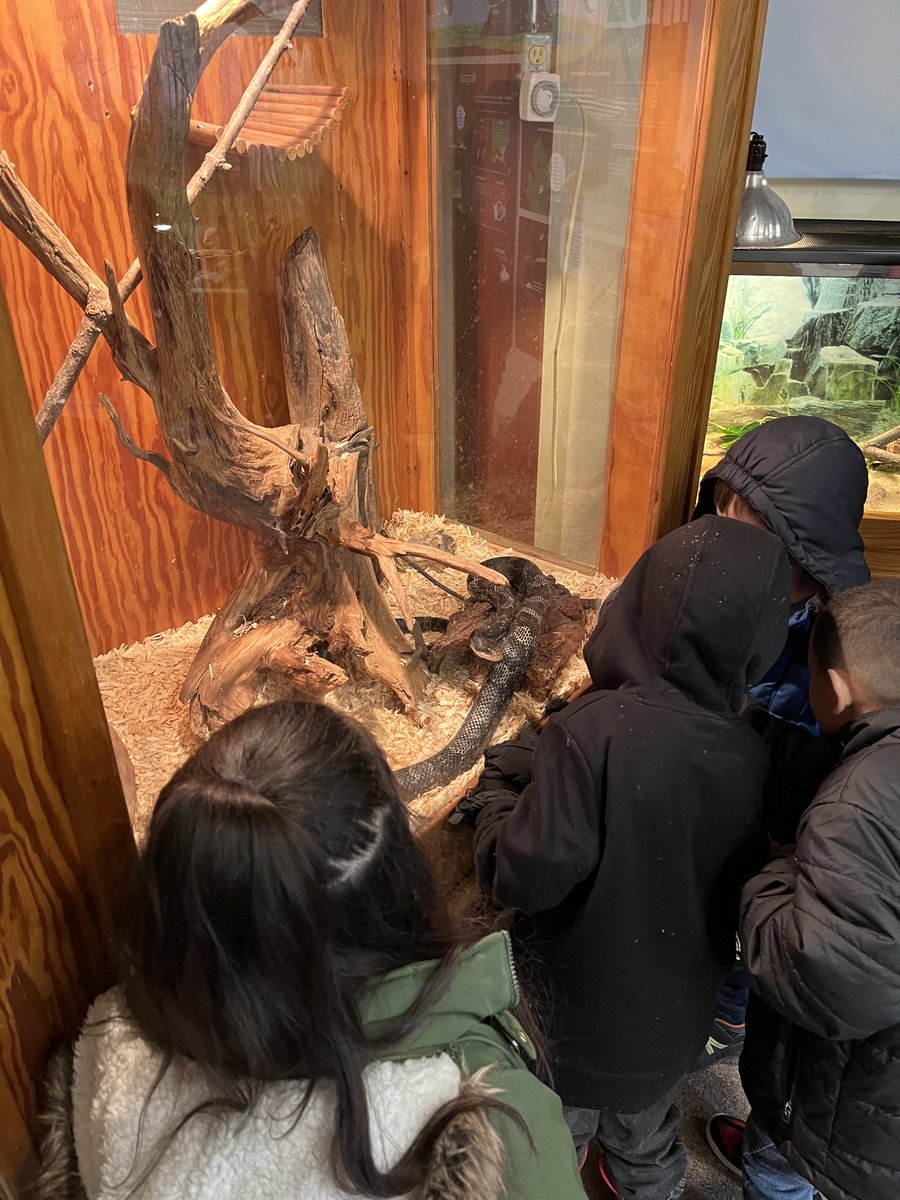Holland Heights Kindergartener’s watching birds, observing snakes and turtles at DeGraaf Nature Center. #explore
