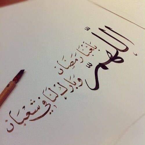 Souad Fouad tweet media