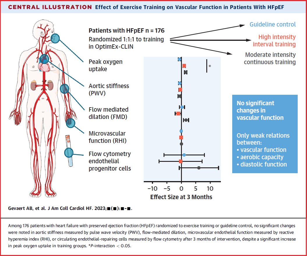 Andreas Gevaert (@andreasgevaert) on Twitter photo Check out our paper on effects of #exercise on vascular function in #HFpEF <a href="/JACCJournals/">JACC Journals</a> #JaccHF
Short version
👨👩👧👧176 HFpEF patients
🏃Randomized to HIIT, MICT or control
✔️Few pts with severe vascular dysfunction
⛔️No changes after 3-12 months
🧵 👇
authors.elsevier.com/a/1ggaX7tD%7EZ… Check out our paper on effects of #exercise on vascular function in #HFpEF <a href="/JACCJournals/">JACC Journals</a> #JaccHF
Short version
👨👩👧👧176 HFpEF patients
🏃Randomized to HIIT, MICT or control
✔️Few pts with severe vascular dysfunction
⛔️No changes after 3-12 months
🧵 👇
authors.elsevier.com/a/1ggaX7tD%7EZ…