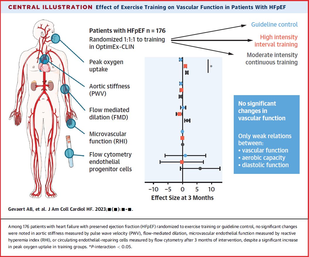 Check out our paper on effects of #exercise on vascular function in #HFpEF @JACCJournals #JaccHF

Short version
👨‍👩‍👧‍👧176 HFpEF patients
🏃Randomized to HIIT, MICT or control
✔️Few pts with severe vascular dysfunction
⛔️No changes after 3-12 months

🧵 👇

authors.elsevier.com/a/1ggaX7tD%7EZ…