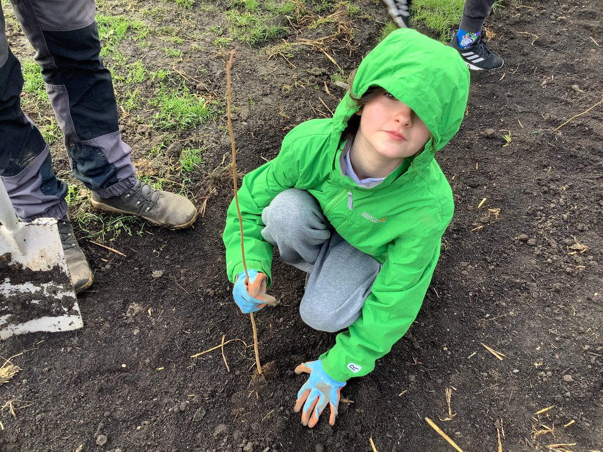 GrantonPS's tweet photo. If you visit Granton Crescent Park please stay off the #WeeForest. It needs our love and care to flourish. We hope it will bring new wildlife to our local area and that classes can return to learn in/around the forest for years to come. Thanks @greenspacetrust & @Earthwatch_Eur https://t.co/b0JuoWZ8RT