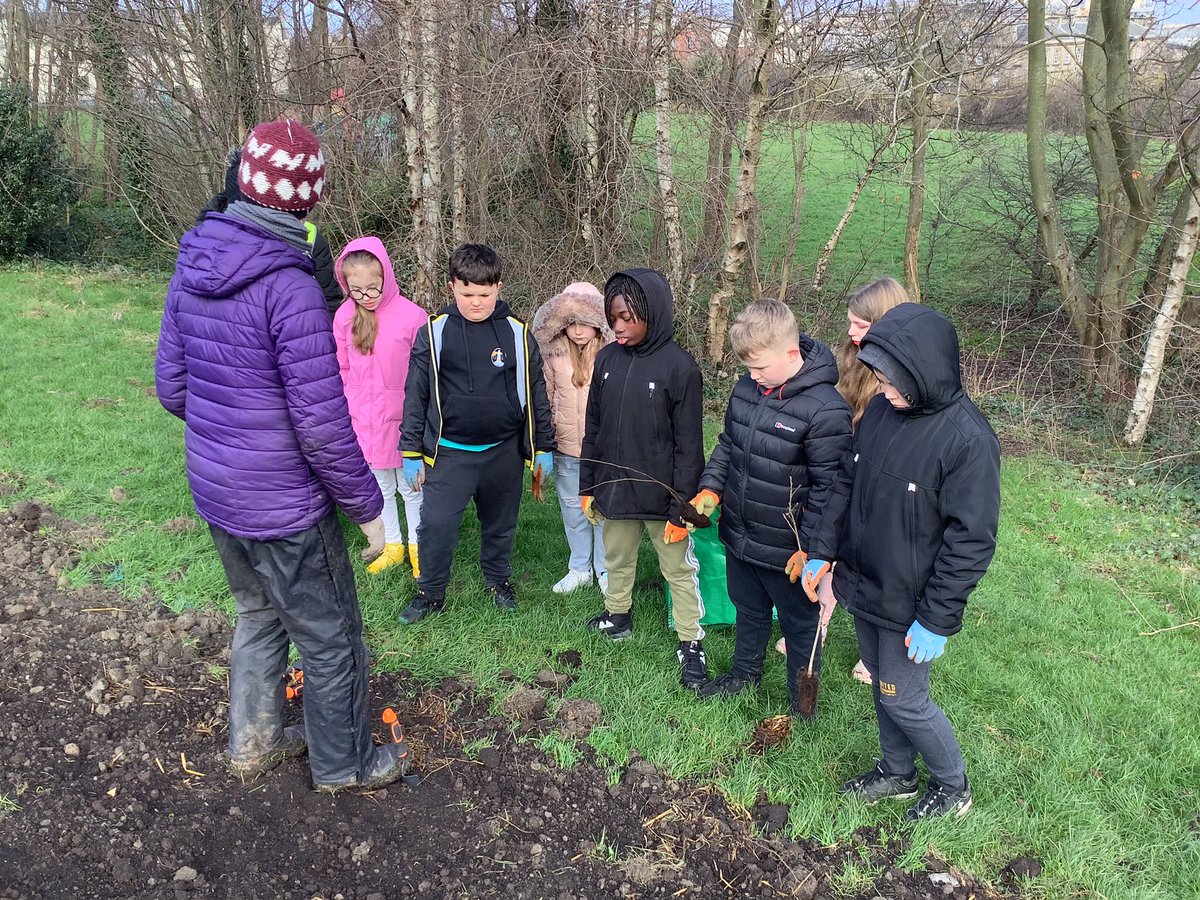 GrantonPS's tweet photo. Today P6c got green fingered and planted a #WeeForest with @greenspacetrust and @Earthwatch_Eur in the local community. Everyone got involved and by the end of the day 600 trees had been planted 🌳. We had such fun and can’t wait to watch our trees grow alongside us. https://t.co/8rYAZpgYNA