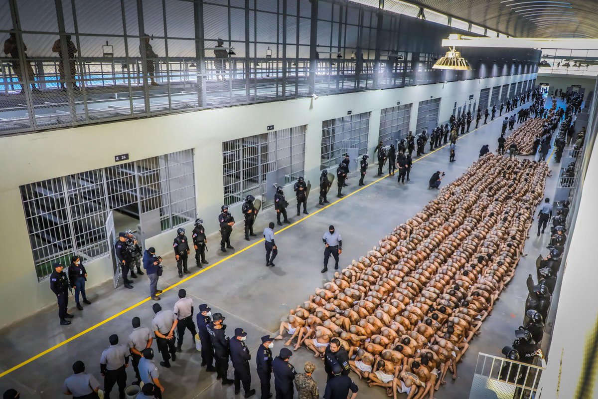 MiguelPoloP's tweet photo. Que el mundo entero lo sepa, @petrogustavo, el guerrillero que tenemos en el poder,  le entrego el país a la criminalidad. Hoy nuestra fuerza pública está humillada y pisoteada. Mientras critica a @nayibbukele por su mano dura contra las maras, Colombia es el país de las masacres https://t.co/26oCK5hp6t