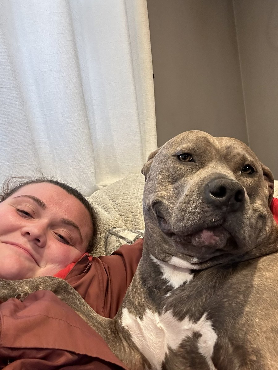 shayshaylouise's tweet image. I can’t handle her 🤣😍 my bestie girl #dogsoftwitter #cutedog #bullybreed