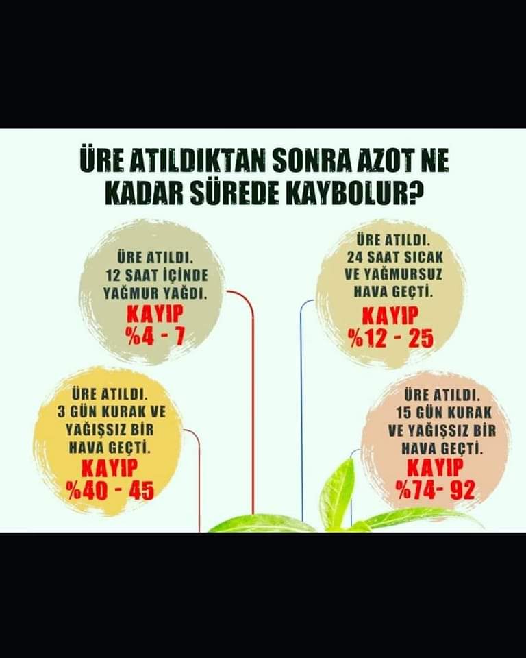 OsmanBk9's tweet image. #üre #azot
#tarim #gubre