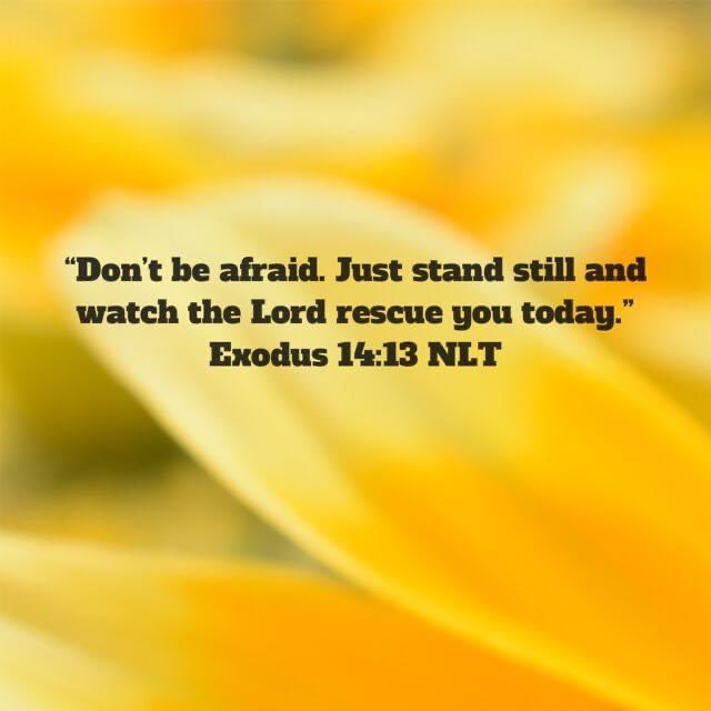 TBT 2018

Be encouraged today! God fights on our behalf daily! 

#standoutandshine #keepthefaith #Godisforus