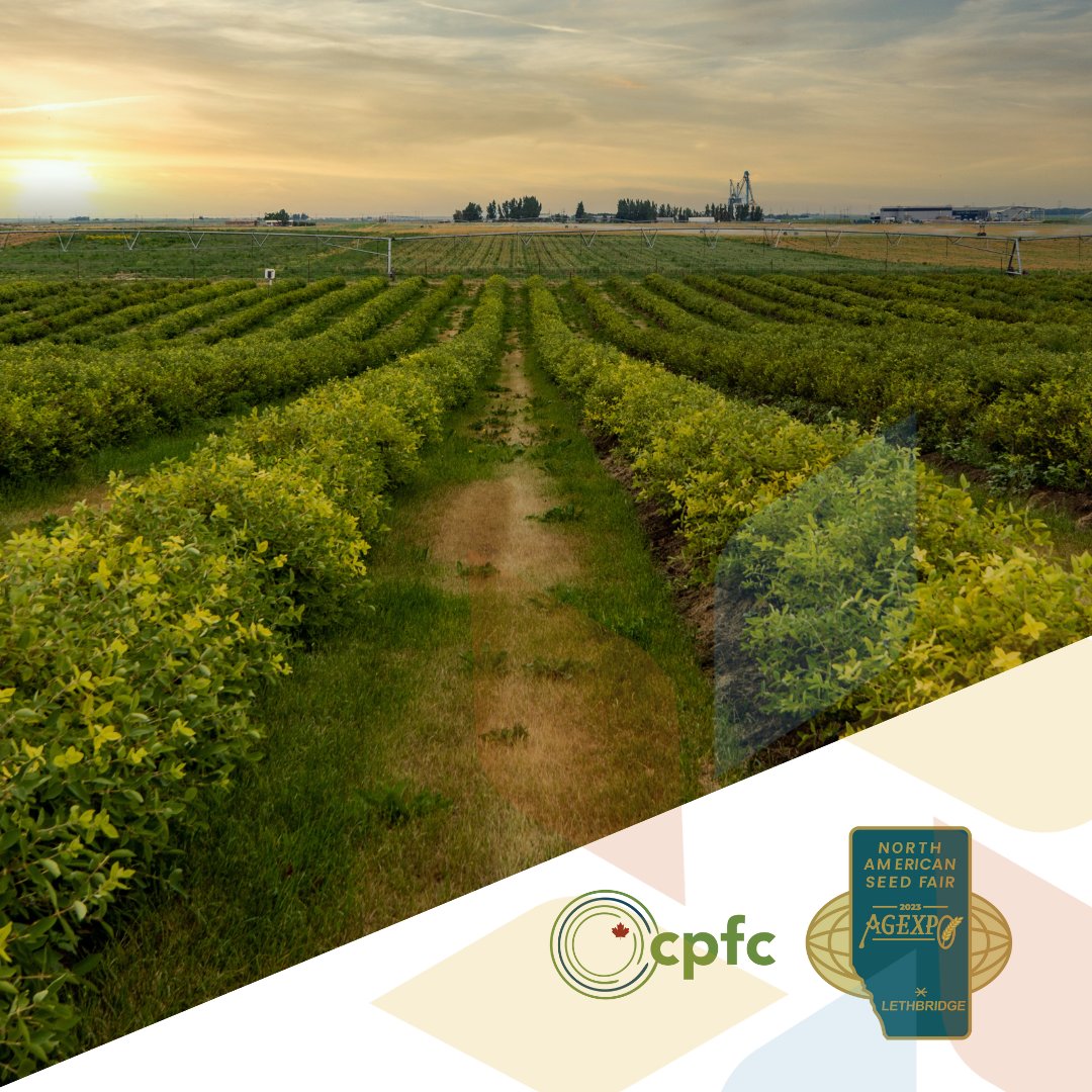 Today is the final day of <a href="/AG_EXPO/">AG EXPO & North American Seed Fair</a>, stop by today until 5! Thanks to the team at Lethbridge &amp; District Exhibition for having us as a sponsor. We hope to be back next year as you showcase southern Alberta agriculture in your new facility. #southernalbertafeedstheworld