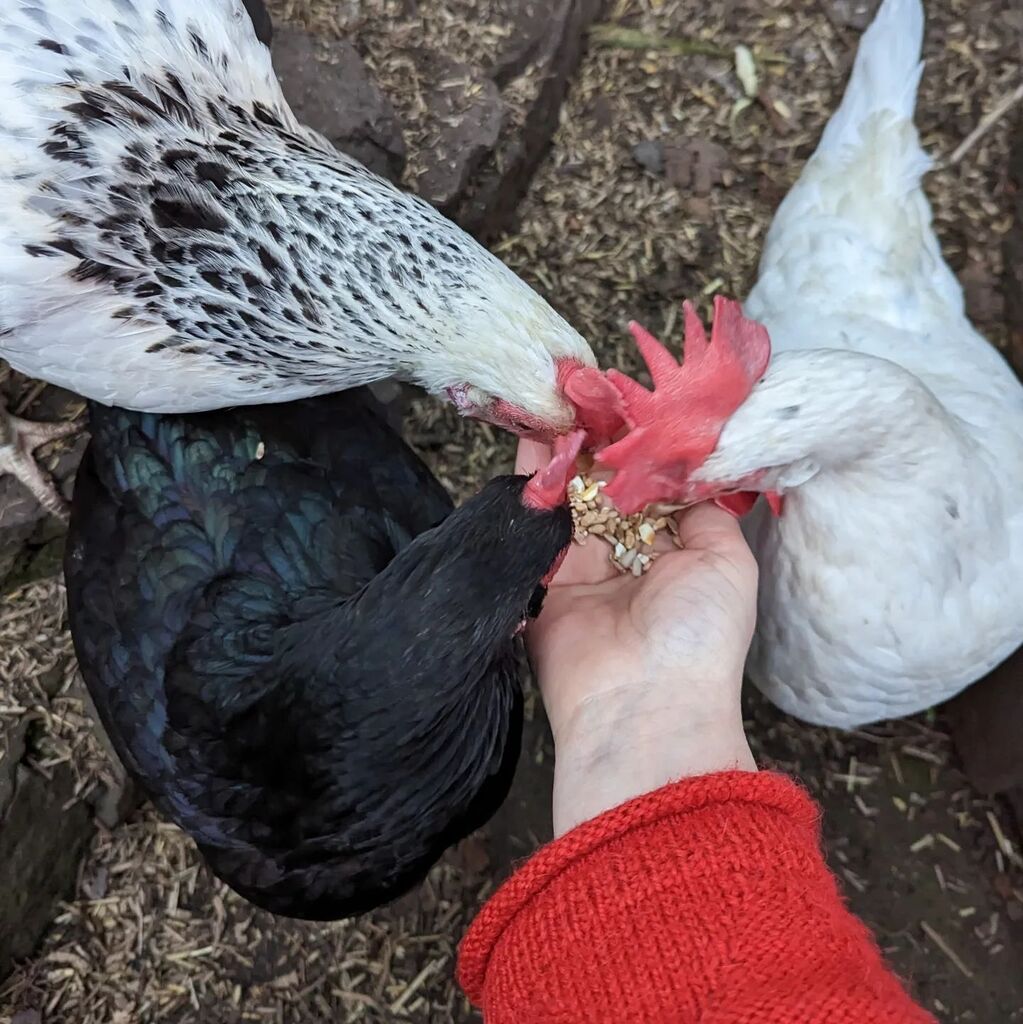 Jackie Leggett tweet media