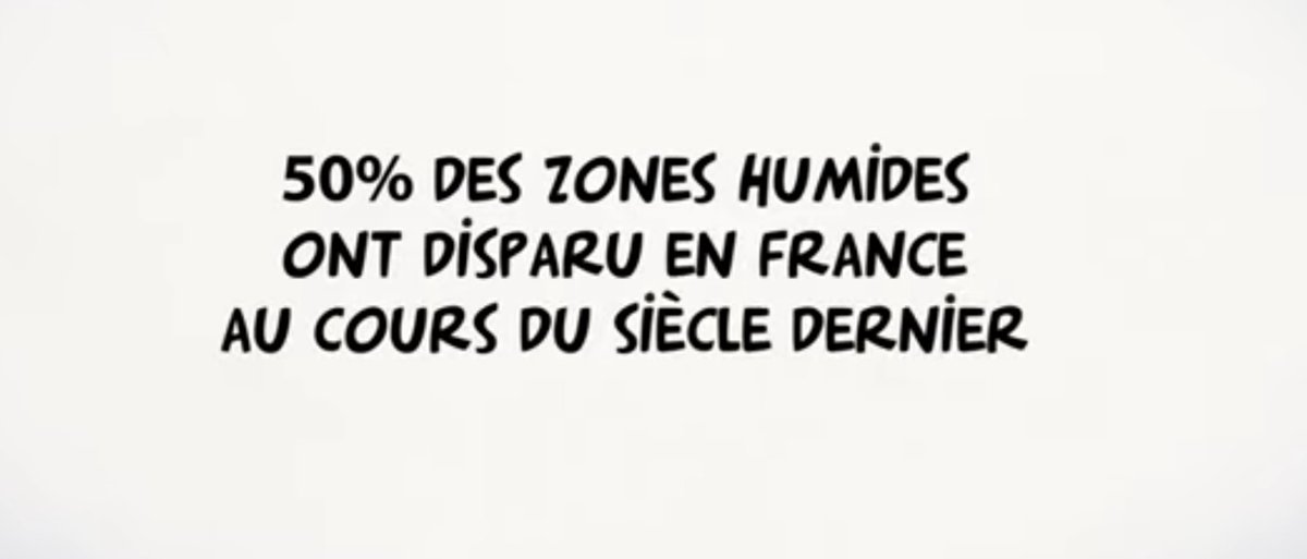 Les zones humides, des milieux essentiels aux habitants et aux agriculteurs !

Retrouvez la vidéo "Zones humides, zones utiles" :

m.youtube.com/watch?v=rVStFH…