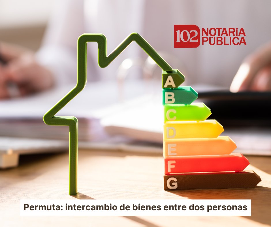 Notaría Pública 102 tweet media