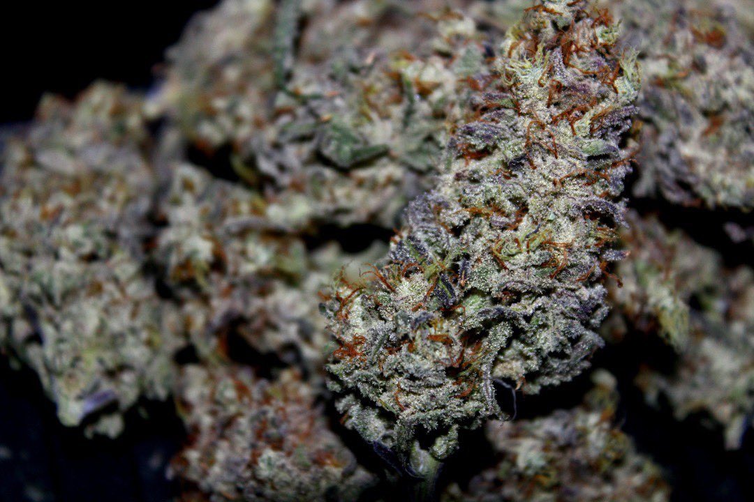 Ontario Micro Growers tweet media